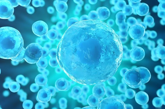 SLU-PP-332 Drug | Shaanxi BLOOM Tech Co., Ltd SLU-PP-332 Drug | Shaanxi BLOOM Tech Co., Ltd