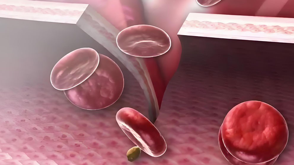 Bioglutide NA-931 Drugs | Shaanxi BLOOM Tech Co., Ltd Bioglutide NA-931 Drugs | Shaanxi BLOOM Tech Co., Ltd