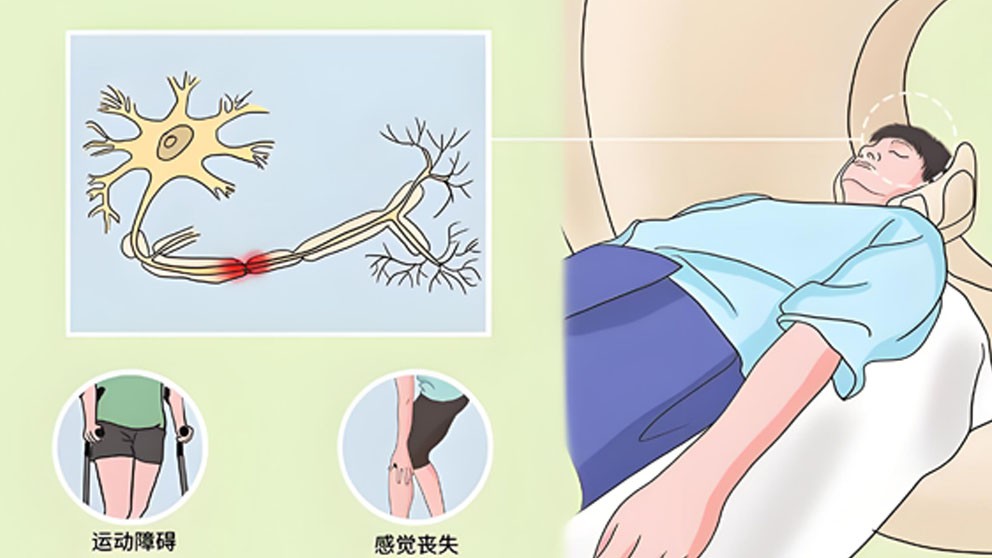 Bioglutide NA-931 Cost| Shaanxi BLOOM Tech Co., Ltd Bioglutide NA-931 Cost| Shaanxi BLOOM Tech Co., Ltd