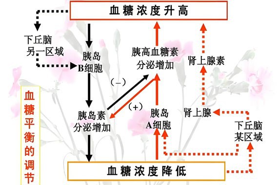 Bioglutide NA-931 For Sale | Shaanxi BLOOM Tech Co., Ltd Bioglutide NA-931 For Sale | Shaanxi BLOOM Tech Co., Ltd
