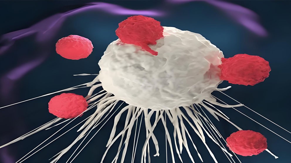 Bioglutide NA-931 Innate | Shaanxi BLOOM Tech Co., Ltd Bioglutide NA-931 Innate | Shaanxi BLOOM Tech Co., Ltd
