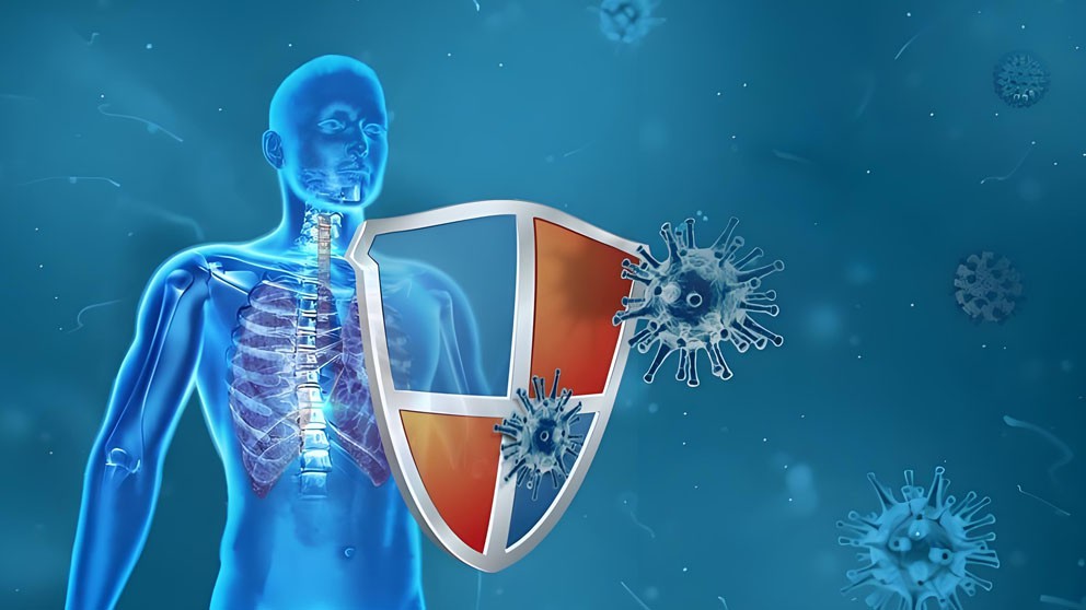 Bioglutide NA-931 Supporting | Shaanxi BLOOM Tech Co., Ltd Bioglutide NA-931 Supporting | Shaanxi BLOOM Tech Co., Ltd